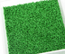 Naturale verde SEBS Riempimento di erba di gomma per erba artificiale approvato SGS