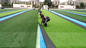 8mm 15mm 30mm Sottopiano di drenaggio di erba artificiale per pad di scossa del traino FIFA Standard