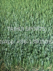 Erba sintetica artificiale per paesaggio esterno di dimensioni personalizzate da 50 mm resistente ai raggi UV per campo da calcio