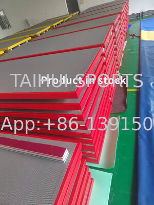 Tappetini in PU 40mm 50mm di spessore per tappetini per arena Taekwondo Arti marziali Karate Tatami Judo Tappetini per arti marziali